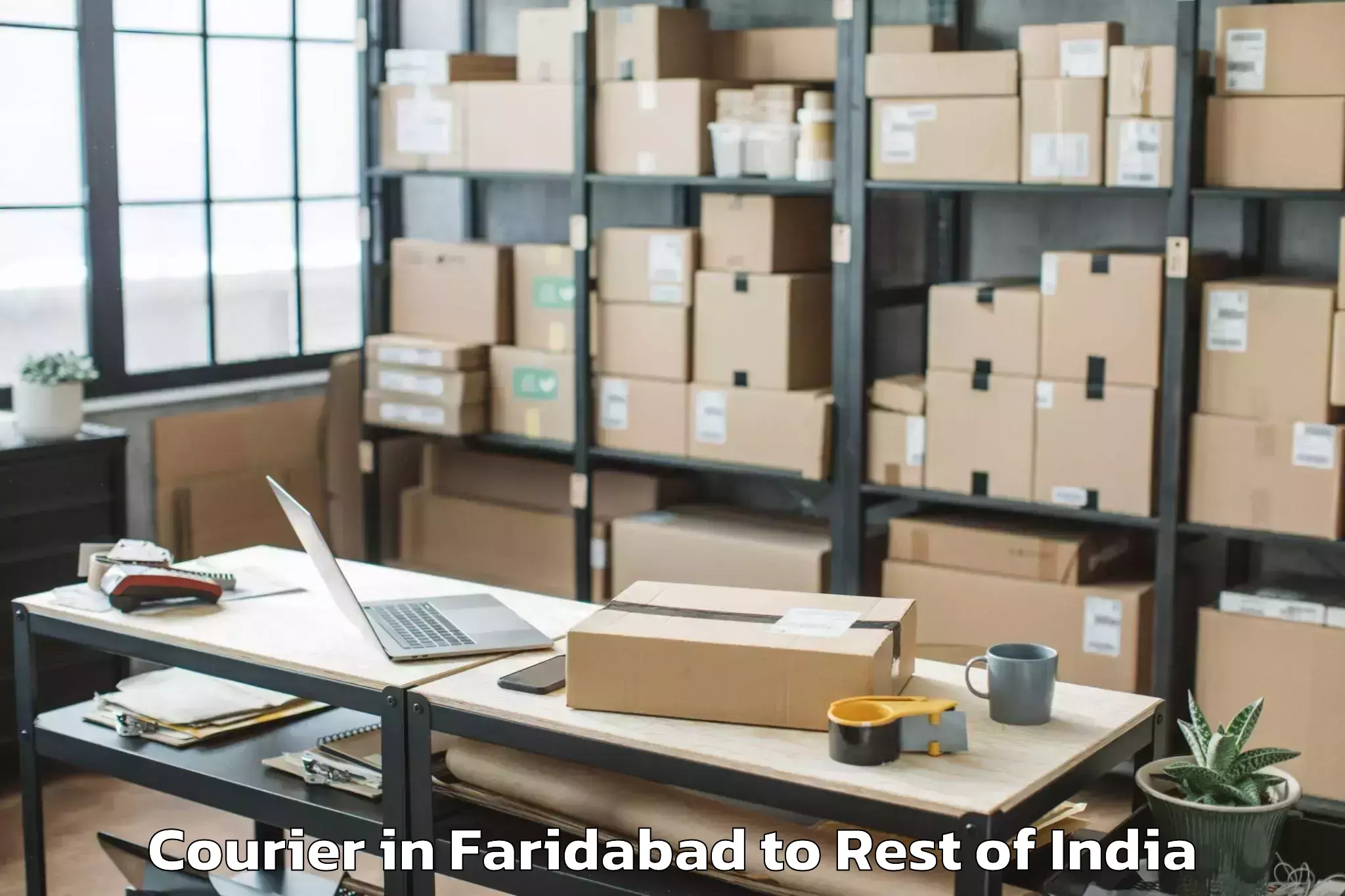 Professional Faridabad to Tekulapally Courier